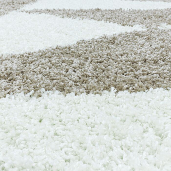 Tango Shaggy tapete pelo comprido retangular 160x230cm bege
