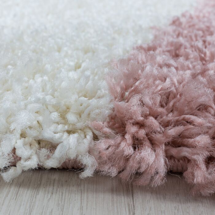 Tango Shaggy tapete pelo comprido retangular 160x230cm rosa claro