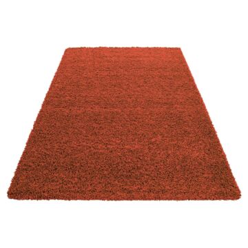 Life Shaggy tapete pelo comprido retangular 240x340cm terra
